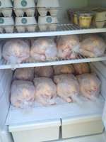 Fridge_of_chickens_ready_for_pickup
